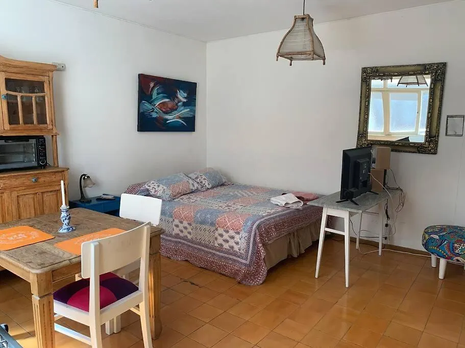 Mono Ambiente Pleno Centro De Mendoza Apartment 0*,